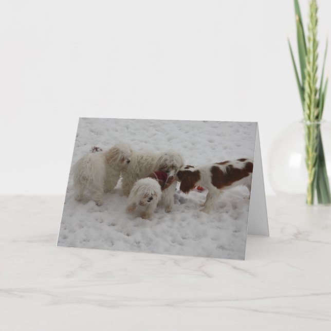 Cartão Congratulations on the New Job (Frente)