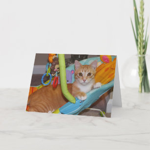 Cartão Congratulations on your new addition