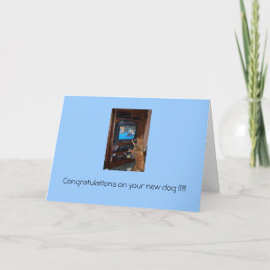 Cartão Congratulations on your new dog !!!
