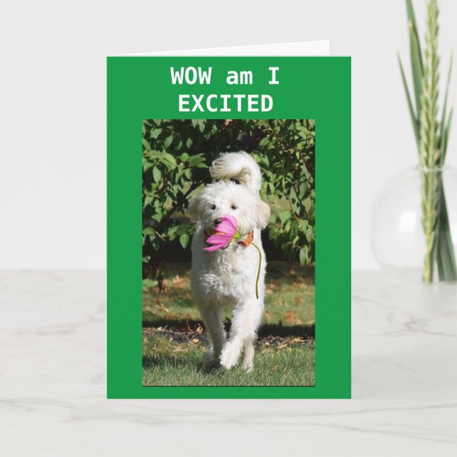 CARTÃO CONGRATULATIONS ON YOUR **NEW HOME** CARD (Frente)