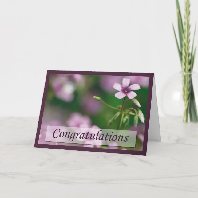 Cartão Congratulations - Pink Wood Sorrel Greeting Card (Frente)
