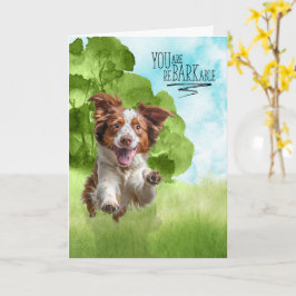 Cartão Congratulations reBARKable Brittany Spaniel Dog