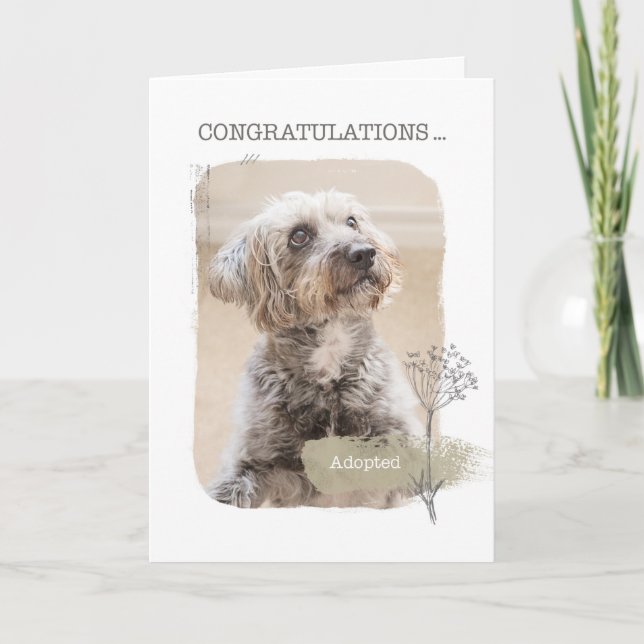 Cartão Congratulations Shelter Dog Adoption Card (Frente)