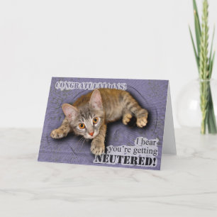 Cartão Congratulations! You're being neutered! Card