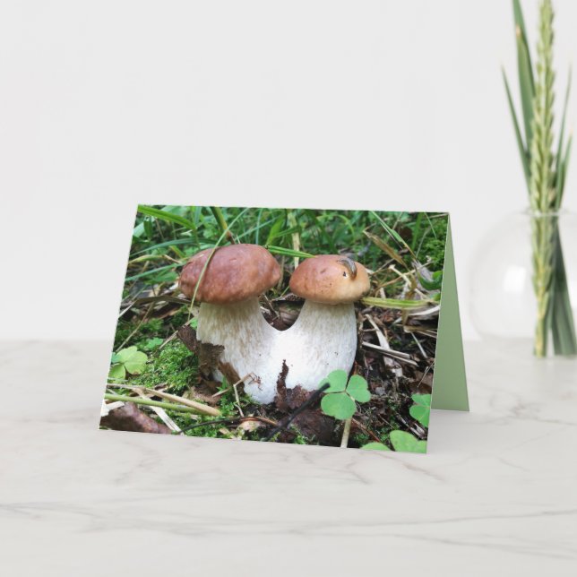 Cartão Conjoined Mushrooms Blank Photo Greeting Card (Frente)