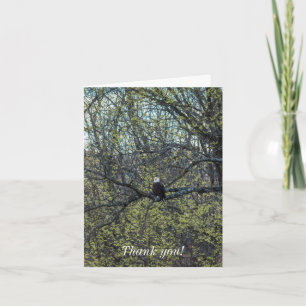 Cartão Consciência da águia