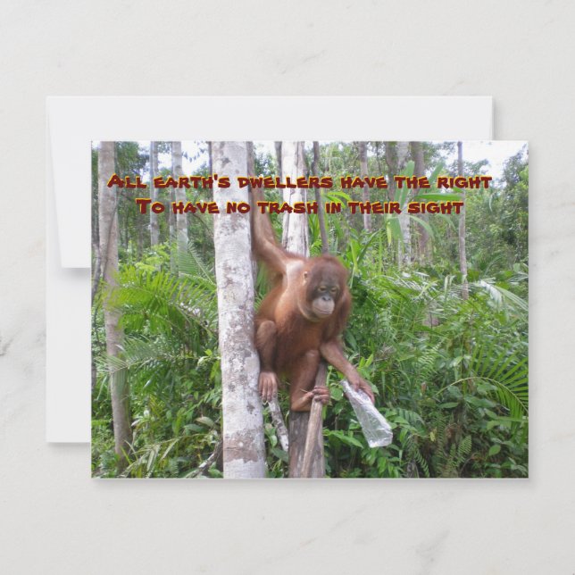 Cartão Conservação, Sem Poluição Plástica (Frente)