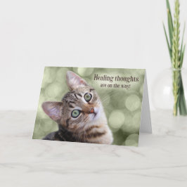 Cartão Consiga Bem Tabby Kitten com Green Bokee