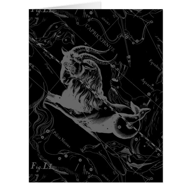 Cartão Constelação de Capricórnio Hevelius 1690 (Frente)