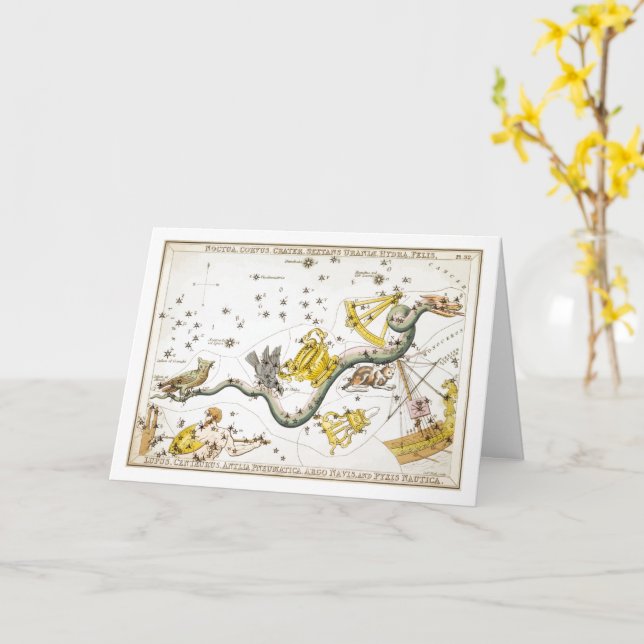 Cartão Constelações - Estrelas - Astronomia Clássica (Flor Amarela)