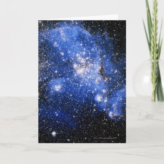 Cartão Constellation Tucana (Frente)