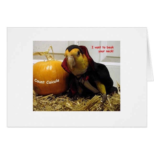 Cartão Contagem de Caicula (Frente Horizontal)