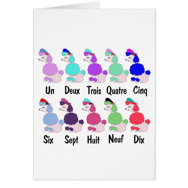 Cartão Contando a caniche francesa (Frente)