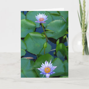 Cartão Conte suas bênçãos