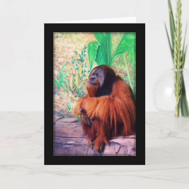 Cartão Contemplater - Placa (Frente)