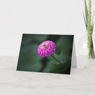 Cartão Contemplative Zinnia Note Card