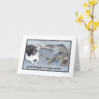 CONTEÚDO DE ANIVERSÁRIO/SATISFAÇÃO/DOIS GATOS SONO
