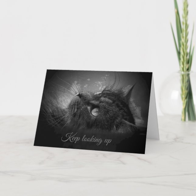 Cartão Continuar Procurando (Frente)