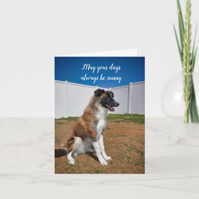 Cartão Continue Sorrindo; Que Seus Dias Estejam Sempre So (Frente)