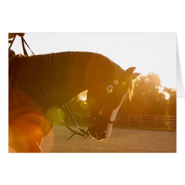 Cartão Controlar rochoso nos raios de sol (Frente Horizontal)