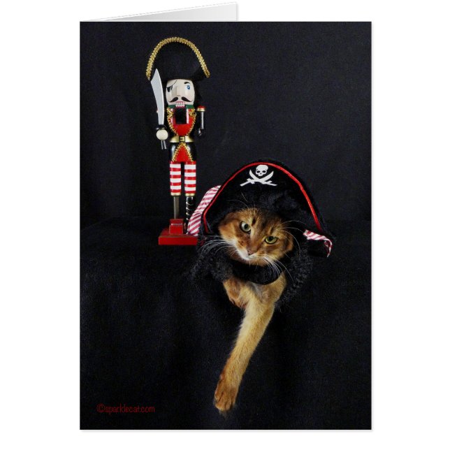 Cartão Conversa como um gato somaliano do dia do pirata (Frente)