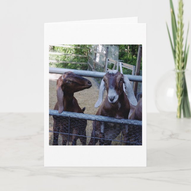 Cartão Conversa da menina (Frente)