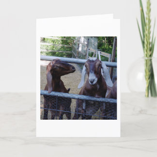 Cartão Conversa da menina