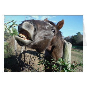 Cartão Conversando Cavalo Marrom