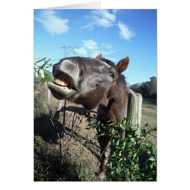 Cartão Conversando Cavalo Marrom (Frente)