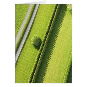 Cartão Conversão no Hamptons