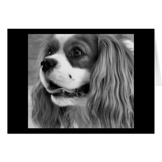 Cartão Cookie (Frente Horizontal)