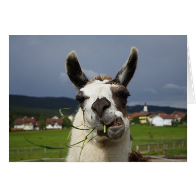 Cartão Coolest Llama (Frente Horizontal)