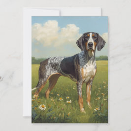 Cartão Coonhound Bluetick