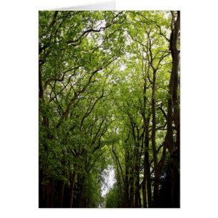 Cartão Copas de árvore