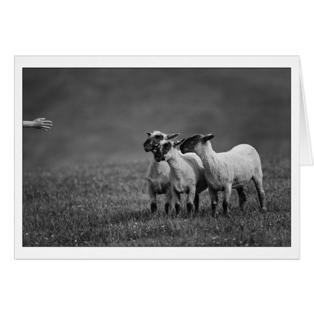 Cartão Cópia IMG_9504 (Frente Horizontal)