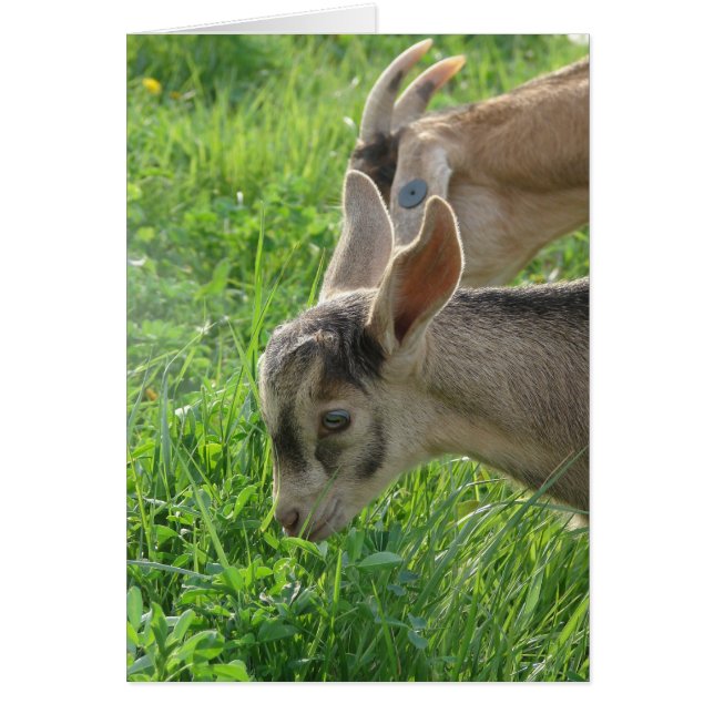 Cartão Copiando a mamãe (Frente)