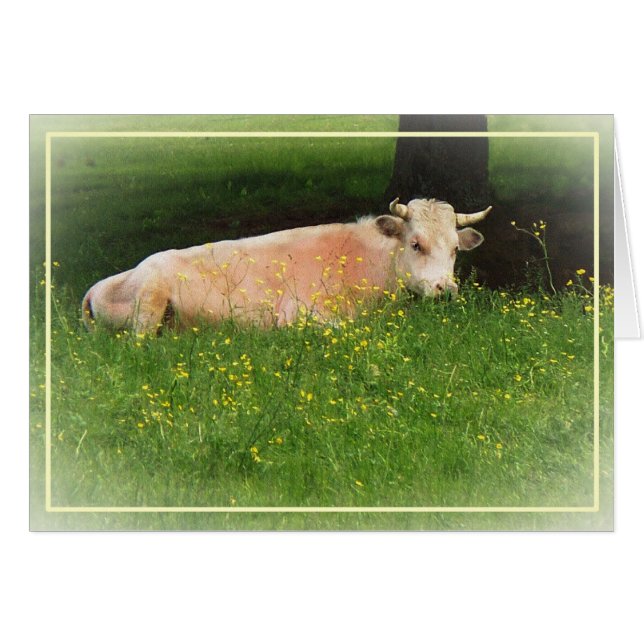 Cartão Copo (Frente Horizontal)