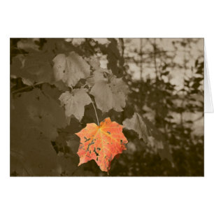 Cartão Cor da queda