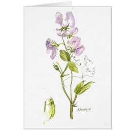 Cartão Cor d'água de ervilha doce púrpura macia