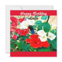 Cor de Água do Calçado Vermelho do Dia de Nascimen