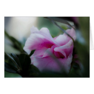 Cartão cor-de-rosa da azálea