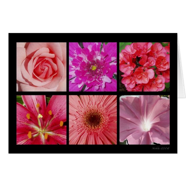 Cartão cor-de-rosa da flor (Frente Horizontal)