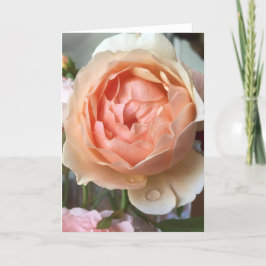 Cartão cor-de-rosa da flor