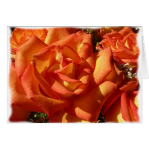Cartão cor-de-rosa da laranja