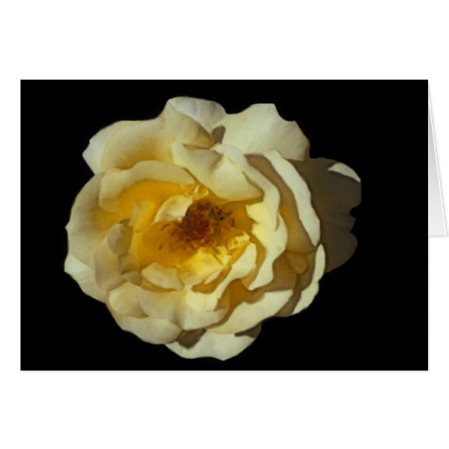 Cartão cor-de-rosa do Mac do uísque (Frente Horizontal)