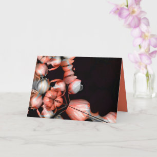 Cartão "Coração branco a preto a partir do sol" e silênci