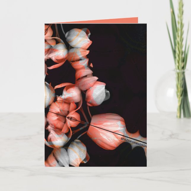 Cartão "Coração branco em preto do sol" & Indiferença (Frente)