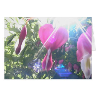 Cartão coração completo