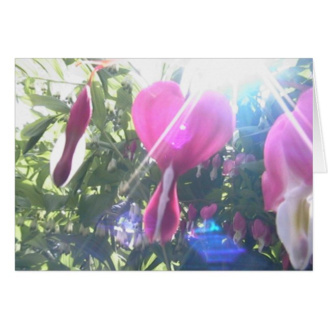 Cartão coração completo (Frente Horizontal)