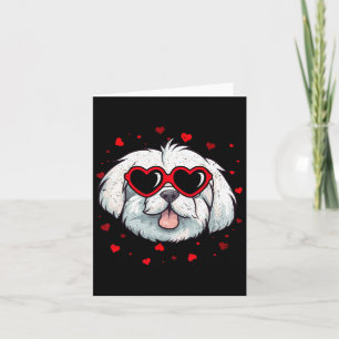 Cartão Coração de São Valentim Maltês Amantes de Cães Fof